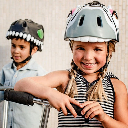 Zebra Kids Helmet